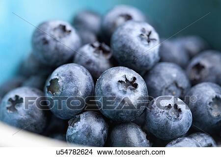 Picture - Studio Shot of blueberries. Fotosearch