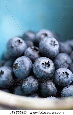 Picture - Studio Shot of blueberries. Fotosearch