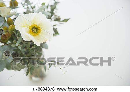 Stock Photo - Studio Shot of bouquet on white background. Fotosearch