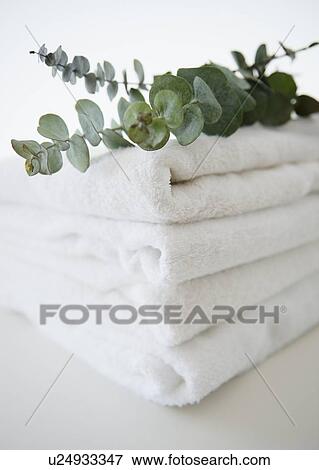 Studio Shot of folded towels and eucalyptus on top View Large Photo Image Stock Photo - Studio Shot of folded towels and eucalyptus on top. Fotosearch