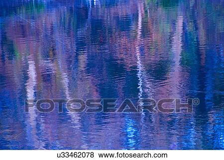 Stock Photo - Trees reflected in water. Fotosearch