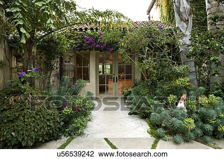 庭 の A 家 で 緑 植物 カリフォルニア アメリカ ストックイメージ U Fotosearch