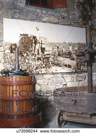 An antique wooden grape press and painting of the Greystone grounds on stone wall, California View Large Photo Image Picture - An antique wooden grape press and painting of the Greystone grounds on stone wall, California. Fotosearch