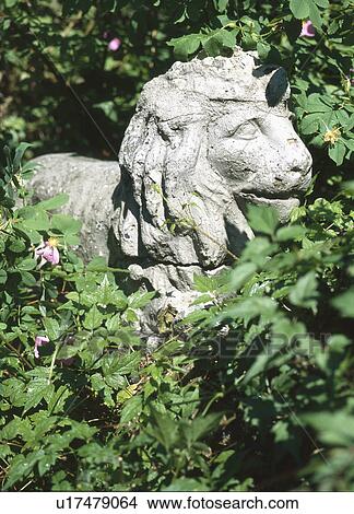 An old concrete lion statue surrounded by plants in garden View Large Photo Image Picture - An old concrete lion statue surrounded by plants in garden. Fotosearch