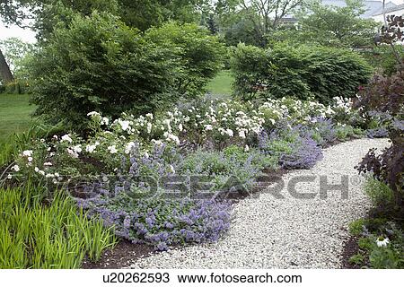 Beautiful flowers on side of footpath in park View Large Photo Image Stock Image - Beautiful flowers on side of footpath in park. Fotosearch