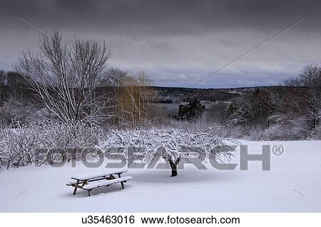 Bench by tree covered under snow in park on cold winter day View Large Photo Image Stock Photograph - Bench by tree covered under snow in park on cold winter day. Fotosearch