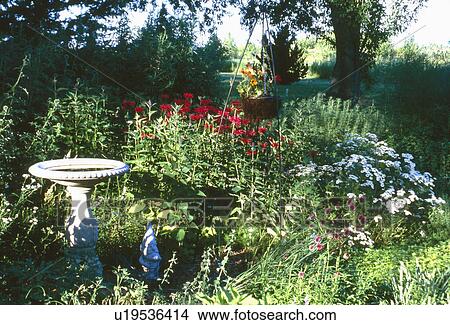 Picture - Birdbath in garden. Fotosearch