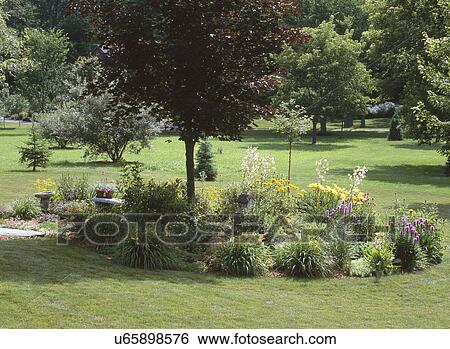 Botanical garden with birdbath and bench View Large Photo Image Stock Photograph - Botanical garden with birdbath and bench. Fotosearch