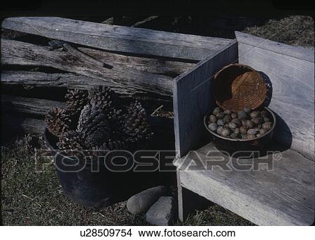 Bucket of pine cone by wooden bench View Large Photo Image Picture - Bucket of pine cone by wooden bench. Fotosearch