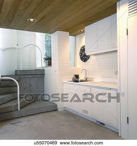 Stock Photo - Cat sitting on kitchen sink by steps in traditional house. Fotosearch