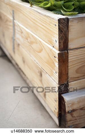Stock Image - Close-up of a wooden planter box. Fotosearch