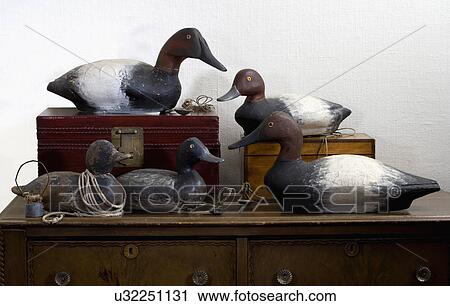 COLLECTIONS DECOYS: Three red headed Canvasbacks by Russel Ades, wautoma Wi, middle decoy with frog eyes is an Ellison, left decoy is A. F. initials all with their own weights View Large Photo Image Stock Image - COLLECTIONS DECOYS: Three red headed Canvasbacks by Russel Ades, wautoma Wi, middle decoy with frog eyes is an Ellison, left decoy is A. F. initials all with their own weights. Fotosearch