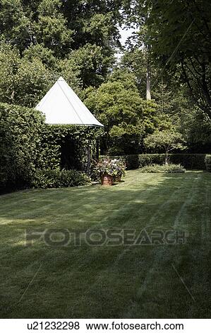 Pictures Of Conical Shade With Trees And Potted Plants In Lawn Conical Shade With Trees And Potted Plants In Lawn