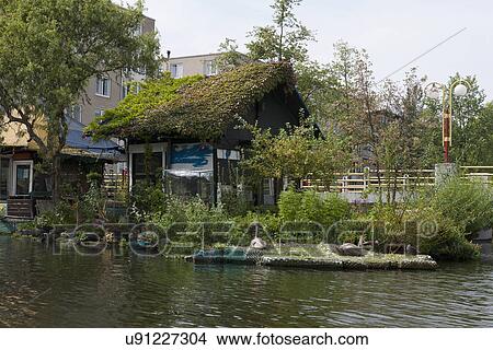 Cottages with roof covered in creepers by lake View Large Photo Image Picture - Cottages with roof covered in creepers by lake. Fotosearch
