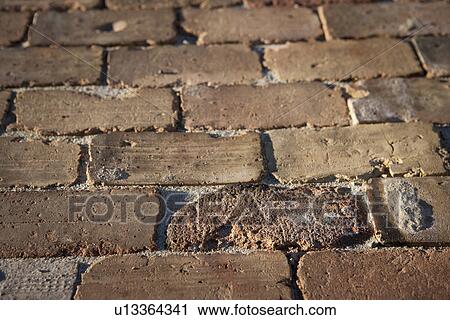Detail brick driveway View Large Photo Image Stock Image - Detail brick driveway. Fotosearch