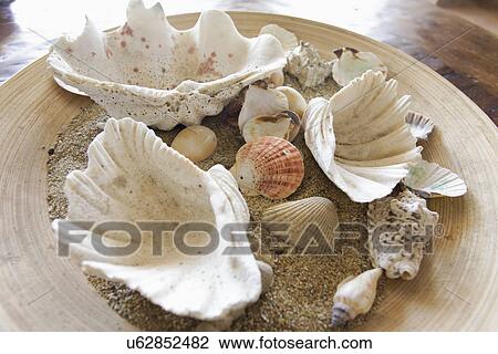 Stock Image - Detail of sand and shells decorative centerpiece, Mykonos, Greece. Fotosearch