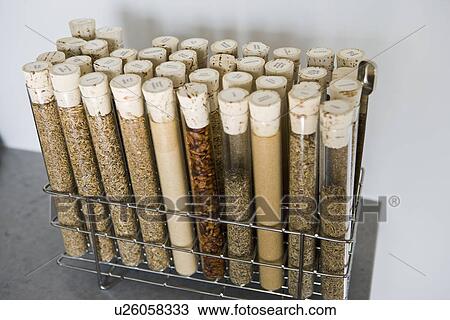 Stock Image - Detail of spices in spice rack; Hollywood; California; USA. Fotosearch