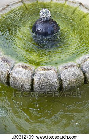 Detail of stone fountain; Irvine; California; USA View Large Photo Image Stock Photo - Detail of stone fountain; Irvine; California; USA. Fotosearch