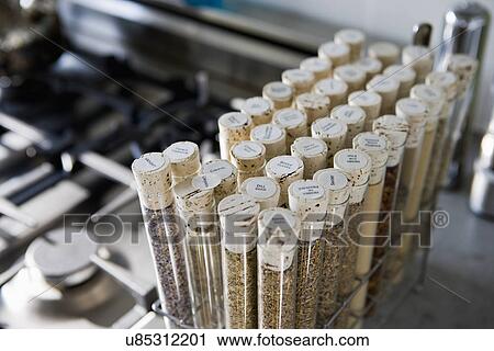 Detail spices in spice rack View Large Photo Image Stock Image - Detail spices in spice rack. Fotosearch
