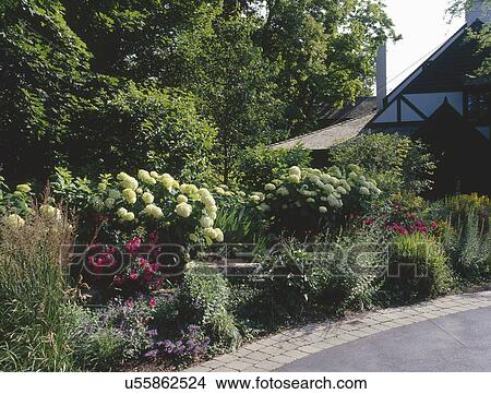 Picture - Driveway along plants and bushes in garden. Fotosearch