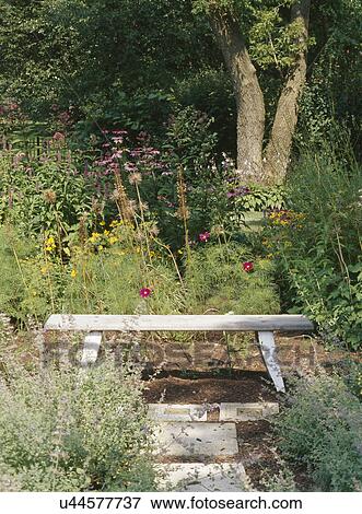 Stock Photo - Empty wooden park bench surrounded by plants. Fotosearch