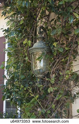 Exterior light surrounded by plants, Laguna Beach, California, USA View Large Photo Image Stock Image - Exterior light surrounded by plants, Laguna Beach, California, USA. Fotosearch