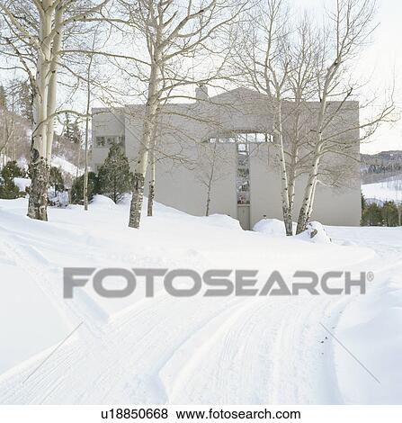 Exterior of a modern house with bare trees and snowcapped landscape View Large Photo Image Stock Photo - Exterior of a modern house with bare trees and snowcapped landscape. Fotosearch