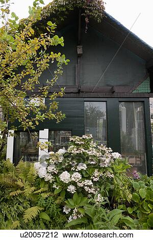 Exterior of cottage with flower garden View Large Photo Image Stock Image - Exterior of cottage with flower garden. Fotosearch