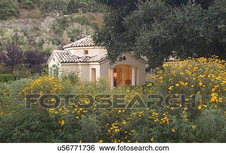 Exterior view of a guest house; Monterey; California; USA View Large Photo Image Stock Photograph - Exterior view of a guest house; Monterey; California; USA. Fotosearch