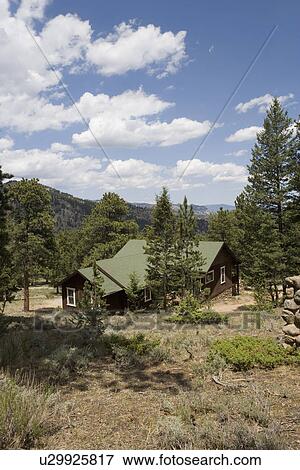 Stock Photo - EXTERIORS: Dark brown cabin used as summer home in Colorado, stone foundation, pine trees. Fotosearch