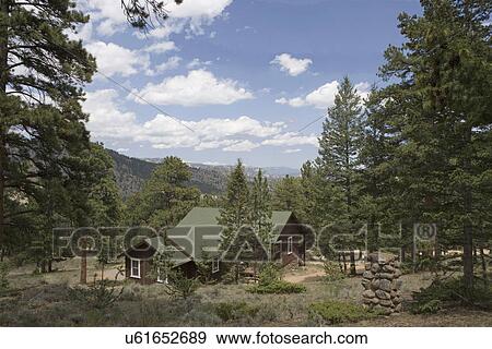 Stock Photo - EXTERIORS: Dark brown cabin used as summer home in Colorado, stone foundation, pine trees. Fotosearch