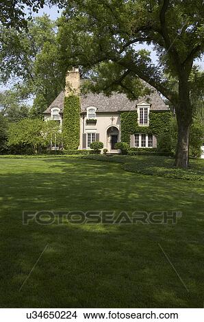 EXTERIORS: Ivy covered French Normandy style home, lawn, vertical straight on view View Large Photo Image Picture - EXTERIORS: Ivy covered French Normandy style home, lawn, vertical straight on view. Fotosearch