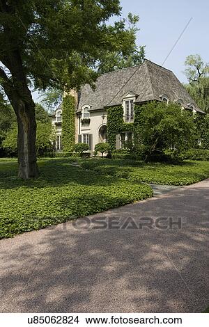 Picture - EXTERIORS: Ivy covered French Normandy style home, extreme angle with gravel driveway in foreground, large tree to left,. Fotosearch