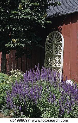 Fall: Garden in early fall. View Large Photo Image Stock Photo - Fall: Garden in early fall.. Fotosearch