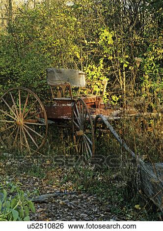 Stock Photograph - FALL SEASON: Abandoned wagon, weathered fall leaves, tangled undergrowth. Fotosearch