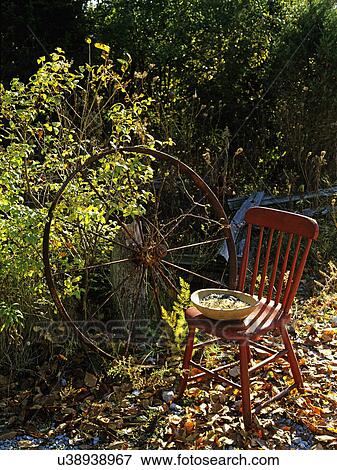 FALL SEASON: Wagon wheel leans against an old timber fence, a red painted farm chair holds a wooden bowl filled with bird seed. View Large Photo Image Stock Photo - FALL SEASON: Wagon wheel leans against an old timber fence, a red painted farm chair holds a wooden bowl filled with bird seed. . Fotosearch