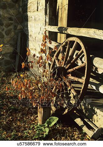 FALL SEASON: Wagon wheel leans against barnyard fence, sap bucket filled with branches of fall leaves, rustic and weathered View Large Photo Image Stock Photo - FALL SEASON: Wagon wheel leans against barnyard fence, sap bucket filled with branches of fall leaves, rustic and weathered. Fotosearch