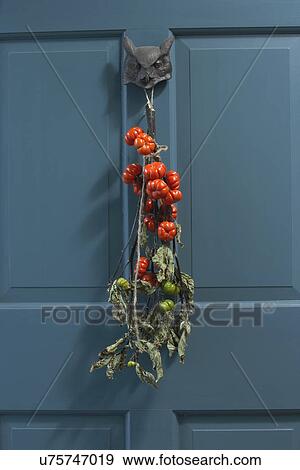 Stock Photo - Fall Theme: Blue paneled door, owl door knocker and fall swag of mini pumpkins. Fotosearch