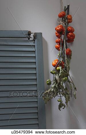 Fall Theme: Old blue shutter and branch of mini pumpkins View Large Photo Image Picture - Fall Theme: Old blue shutter and branch of mini pumpkins. Fotosearch