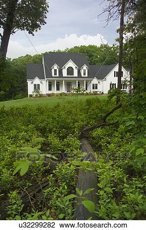 Stock Image - Fallen tree trunk between plants in lawn of a single family home. Fotosearch