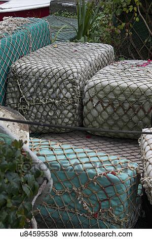 Stock Photo - Floating buoys wrapped with commercial fishing nets. Fotosearch