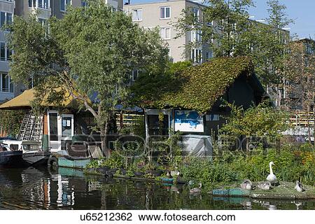 Floating cottage covered in plants View Large Photo Image Stock Image - Floating cottage covered in plants. Fotosearch