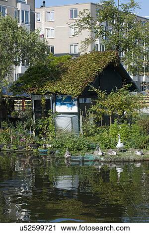 Stock Image - Floating cottage with plants. Fotosearch