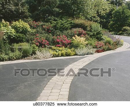 Stock Photography - Flowers and landscape along driveway. Fotosearch