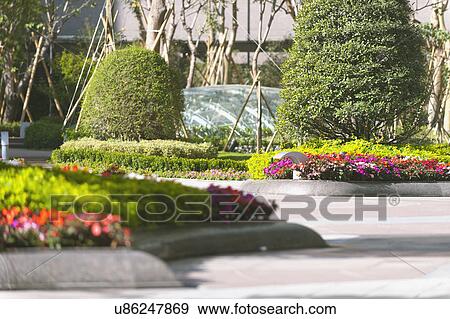 Stock Photo - Flowers and plant in garden. Fotosearch