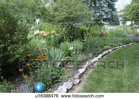 Stock Photograph - Fresh flower blossoming in garden. Fotosearch