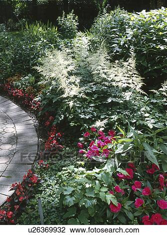 Fresh flowers and plants growing in garden View Large Photo Image Stock Image - Fresh flowers and plants growing in garden. Fotosearch