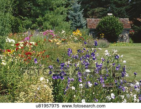 Fresh flowers growing in front of barn View Large Photo Image Stock Photography - Fresh flowers growing in front of barn. Fotosearch