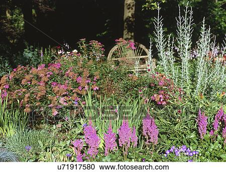 Fresh flowers growing in garden View Large Photo Image Stock Image - Fresh flowers growing in garden. Fotosearch