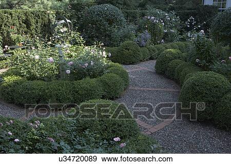 Stock Photo - GARDEN: Boxwood hedges, circular path of gravel and brick, armillary sundial surrounded by pink roses and boxwoods. Fotosearch
